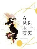春风不若你微笑全文免费