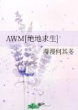 AWM[绝地求生]