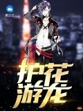 护花游龙秦阳