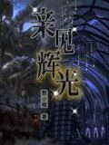 亲见辉光