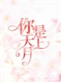 你是天上星书包网