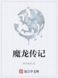 魔龙传记