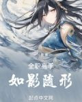 全职高手：如影随形