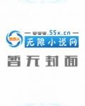 神医杀手穿越到古代的小说