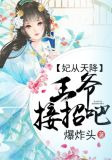 妃从天降，王爷接招吧
